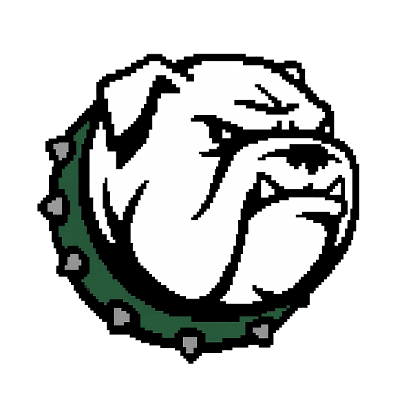 Top Dog Hoops mascot